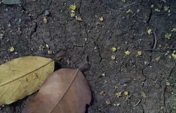 La Junta de Andalucía aprueba el Programa Andaluz de Suelos Contaminados 2018-2023