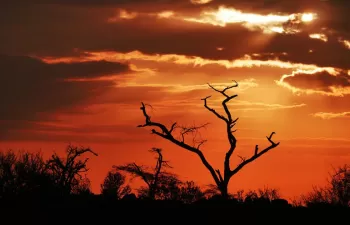 La severa escasez de agua de la capital de Kenia amenaza a los más desfavorecidos