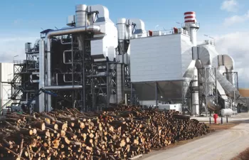 Biomasa: potencia renovable firme para compensar el cierre de centrales nucleares