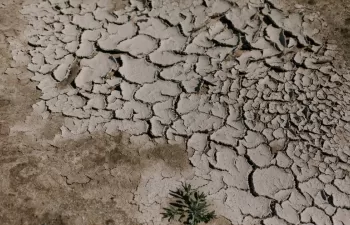 Cómo predecir inundaciones y sequías para minimizar los daños en los cultivos
