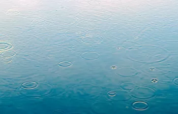 Soluciones a favor de la naturaleza para mejorar la gestión de las aguas de lluvias