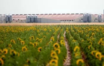 Castilla y León promueve el uso de la biomasa forestal en el sector ganadero