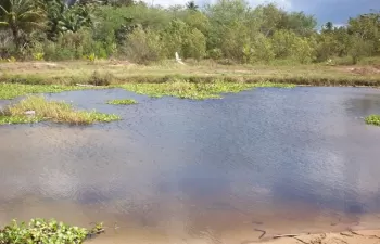 Científicos peruanos y españoles buscan nuevos métodos para eliminar contaminantes emergentes