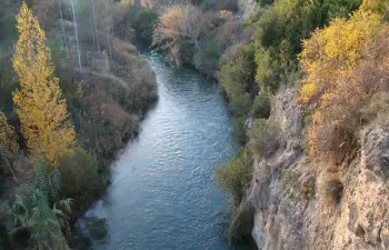 Objetivo: restaurar la vegetación de ribera para mejorar el estado ecológico de los ríos