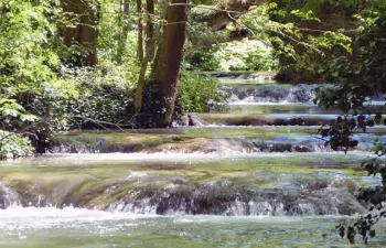 WaTaPro, una solución para el análisis de la demanda y los precios de los servicios del agua