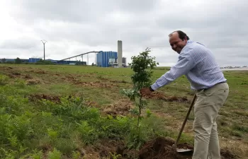 Sogama finaliza la revegetación de su complejo industrial