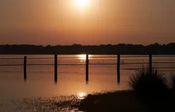 Urbanismo y regadío están secando Doñana: ¿hay solución?