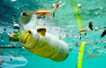 El PNUMA advierte: los plásticos biodegradables no reducen la basura que llega al mar