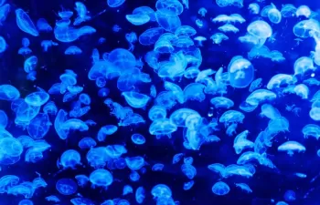 La Comunitat Valenciana colabora con la Universidad de Alicante en investigación aplicada a recursos hídricos