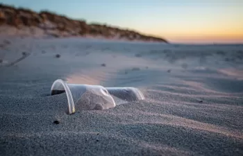 El Parque Natural del Delta del Ebro contra los plásticos desechables