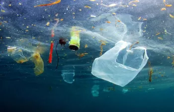 El Parlamento Europeo y el Consejo de la UE acuerdan nuevas normas para reducir la basura marina