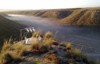 Un estudio internacional advierte que el calentamiento global puede aumentar los patógenos