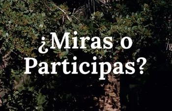 FCC celebra el Día Mundial del Medio Ambiente conectando a las personas con la naturaleza en un solo click