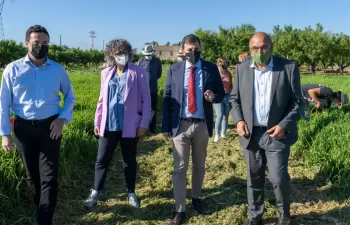 Investigan el potencial de la cebada como filtro verde para el Mar Menor