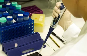 Un estudio del IIAMA determina que la bacteria H. pylori sobrevive en las aguas potables y residuales