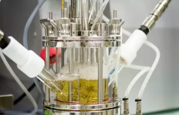 Schweppes reinventa â€¨el proceso de reciclaje de sus envases plásticos PET