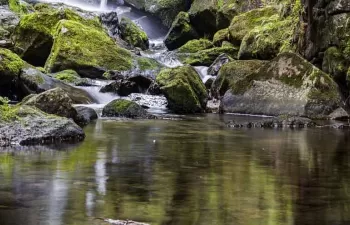 Consulta pública sobre la evaluación del VII Programa de Acción en materia de Medio Ambiente de la UE
