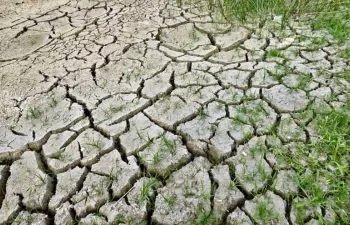 La desertificación mundial será alarmante para 2070