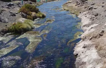 La adaptación al cambio climático en Cataluña necesita repensar la gestión del agua, los bosques y la agricultura