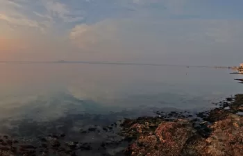 El Comité Científico del Mar Menor aboga por estudiar el intercambio de agua con el Mediterráneo