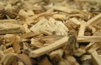 Instalaciones municipales, empresas y hogares muestran el potencial de la biomasa para la transición energética