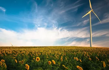 Pacto Verde: clave para una Europa climáticamente neutra y sostenible