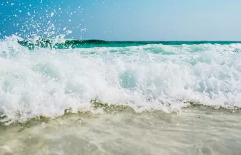 Luz verde a las estrategias marinas de España