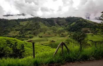 Colombia será el país anfitrión del Día Mundial del Medio Ambiente 2020