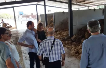 Mercavalencia acoge un proyecto de compostaje para gestionar los residuos de la paja del arroz