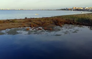 Una red de humedales artificiales evitará la entrada de nutrientes al Mar Menor