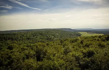 El IIAMA desarrolla un modelo hidroeconómico para optimizar la gestión de los bosques y el agua