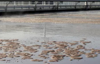 Investigadores de la UAB logran producir de forma eficiente energía renovable e hidrógeno de las aguas residuales