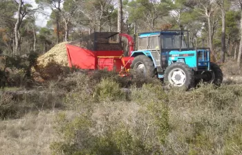 Castilla-La Mancha apuesta por sustituir sus calderas de gasoil por biomasa forestal