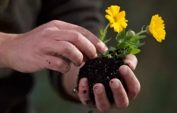 Exitoso balance del programa de compostaje doméstico impulsado por la Diputación de Ourense y Sogama