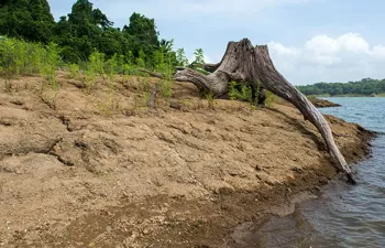 El Niño, detrás del periodo más seco en tres años consecutivos en Panamá Central