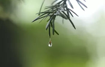 Casi 56 millones de euros para modernizar regadíos en la Comunidad Valenciana