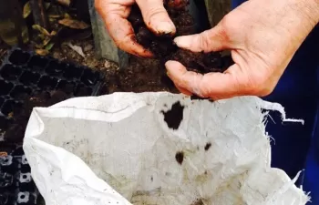 El concello de Soutomaior se adhiere al programa de compostaje doméstico de Sogama