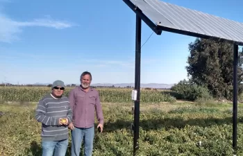 Energía fotovoltaica en la agricultura: ahorrando agua y produciendo energía