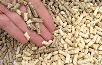 CIRCE, primera entidad acreditada por ENAC para ensayos de calderas para biocombustibles sólidos