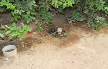 El Gobierno de Murcia participa en un proyecto europeo sobre el manejo eficiente del agua de riego