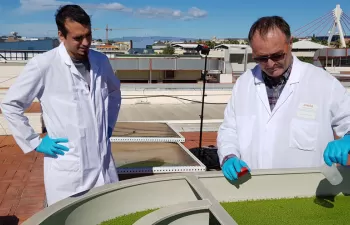 Arranca la primera planta semiindustrial para recuperar nutrientes de purines con cultivos de lenteja de agua