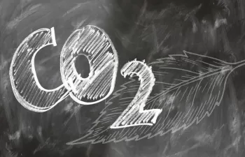 Desarrollan una herramienta que evalúa la captura de gases de efecto invernadero con microalgas