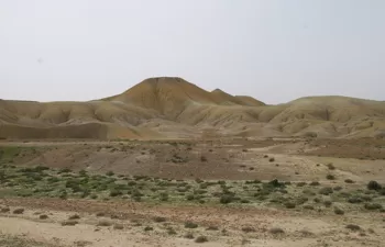 Los microorganismos del suelo indican los efectos del cambio climático