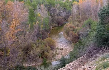Un estudio propone el uso de nuevos índices ecológicos para evaluar el estado de los ríos