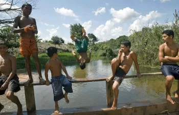 Miles de personas celebraron el Día Mundial del Medio Ambiente limpiando playas y bosques