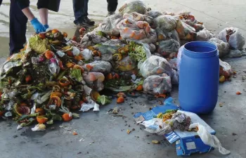 Nuevas directrices y herramientas para reducir los residuos alimentarios en Europa