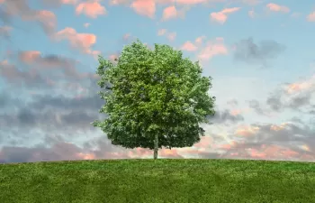 Las políticas de impuestos a la energía de la UE no concuerdan con sus objetivos climáticos