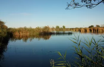 Autorizada la inclusión del Marjal de Almenara en la Lista de humedales del Convenio Ramsar