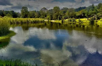 La Comunidad de Madrid ultima el Plan de Restauración y Conservación de Ríos y Humedales