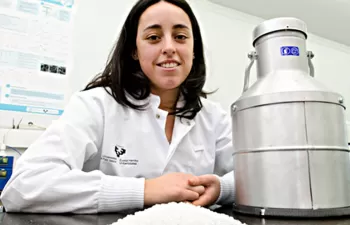 Hidrógeno en grandes cantidades a partir de residuos plásticos mediante un proceso de dos etapas